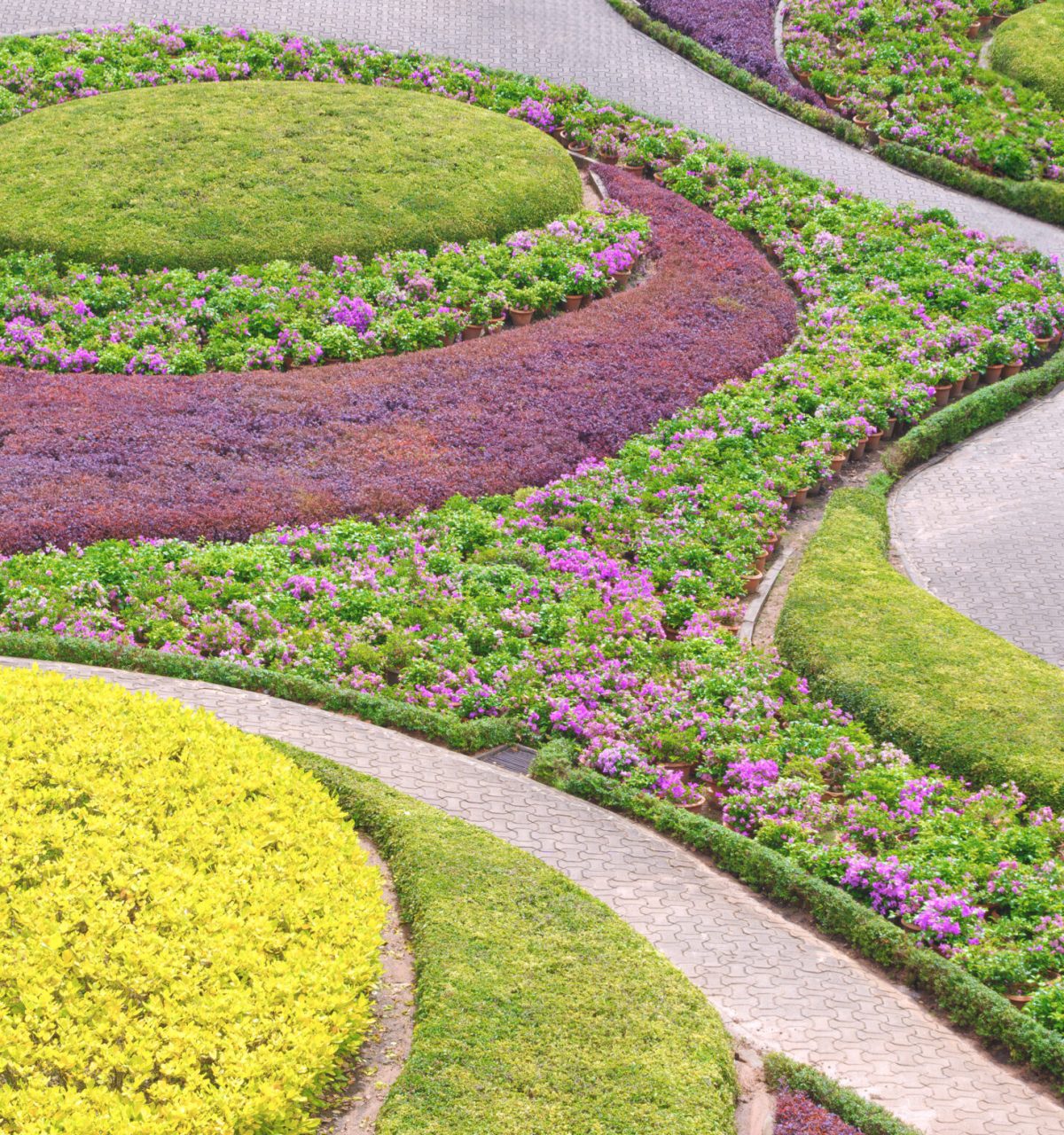 background-of-colorful-ornament-garden-decorated-w-2026-01-08-07-51-42-utc