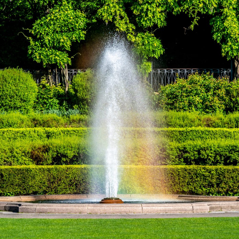 conservatory-garden-in-central-park-new-york-city-2026-01-11-10-26-52-utc