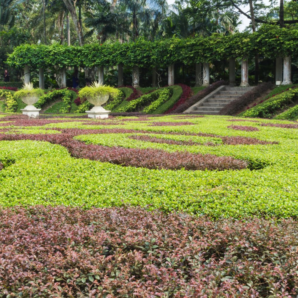 part of a regular garden with cropped hedges and fountain