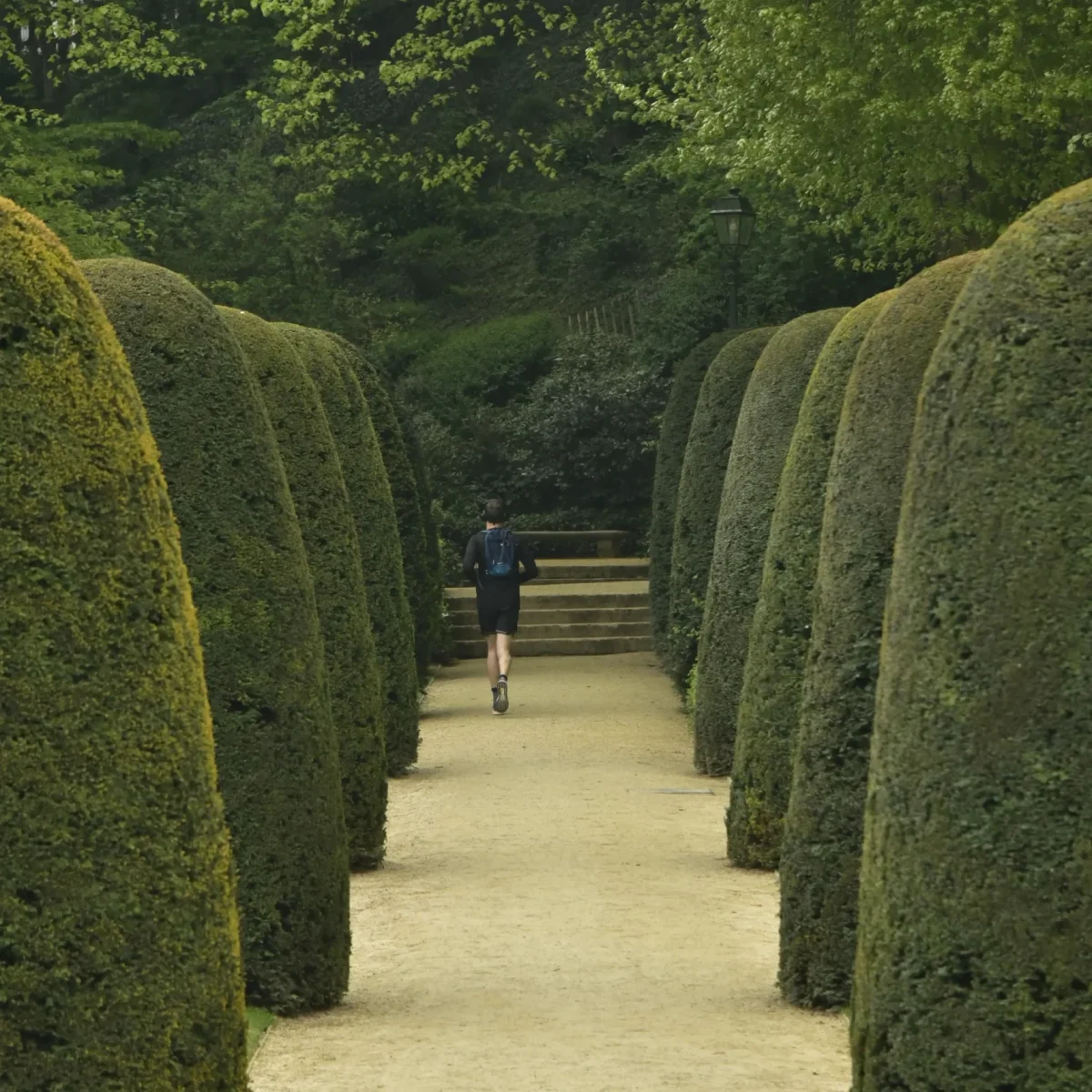 rear-view-man-walking-footpath-amidst-trees
