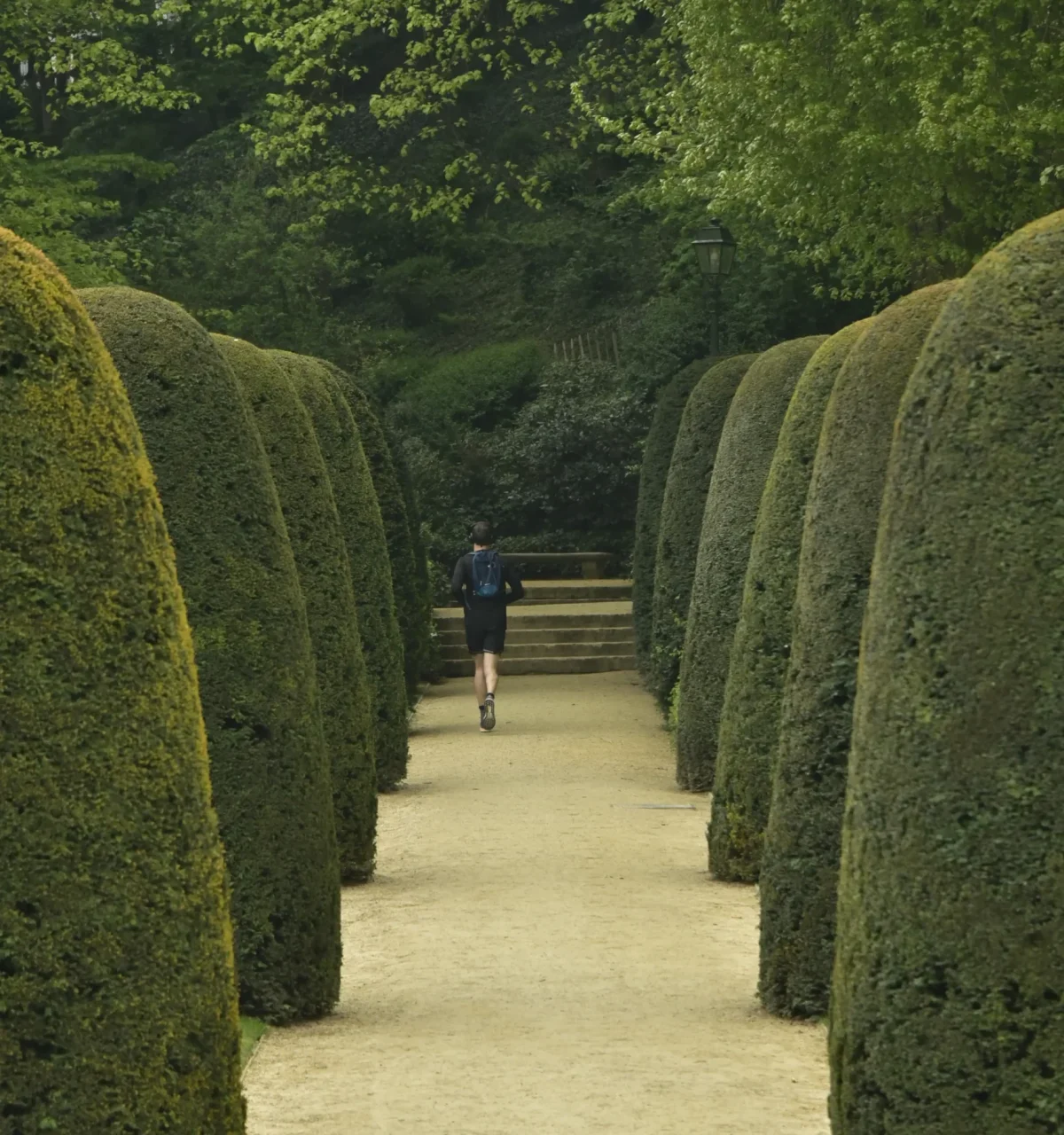 rear-view-man-walking-footpath-amidst-trees