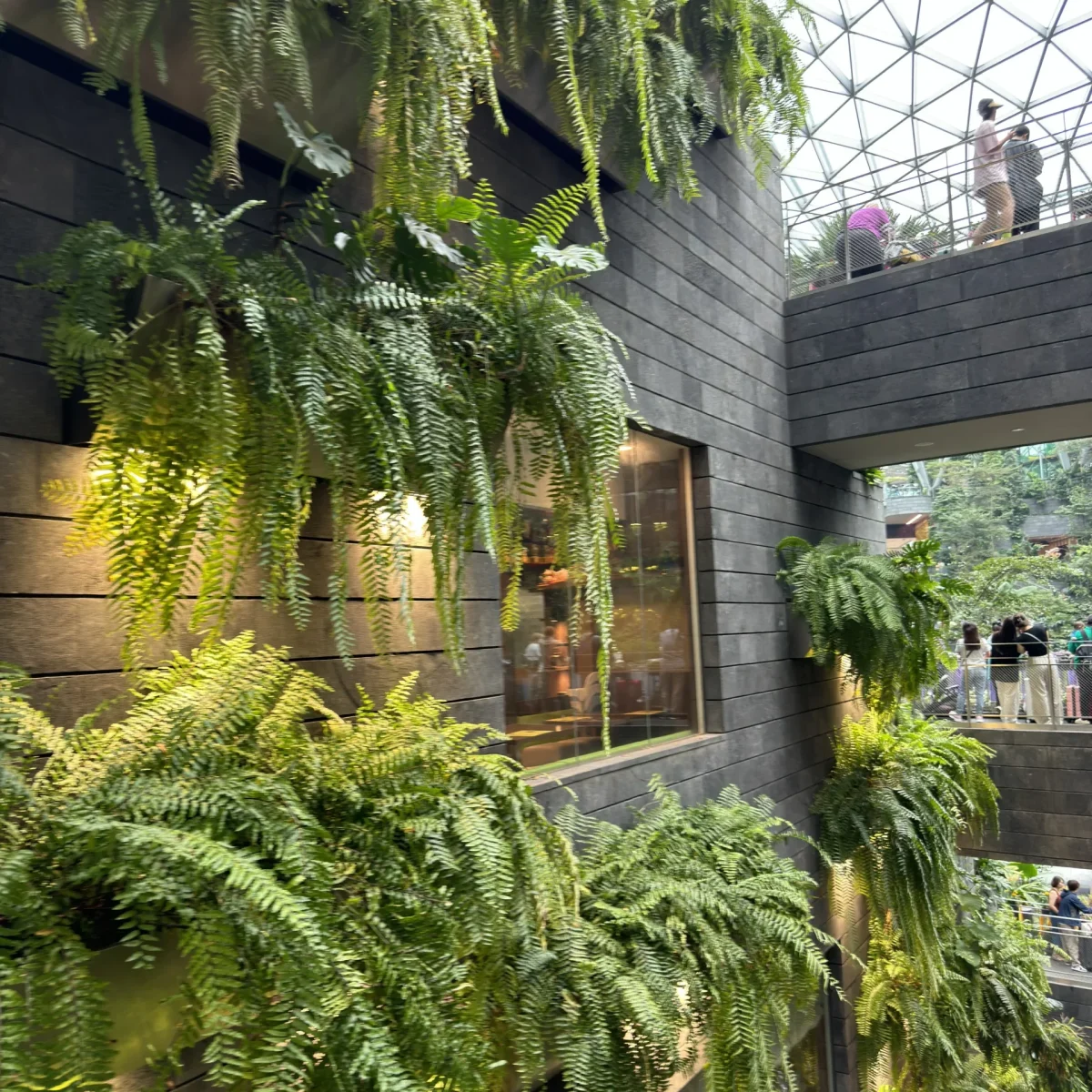 room-with-planter-that-has-window-that-says-aloe