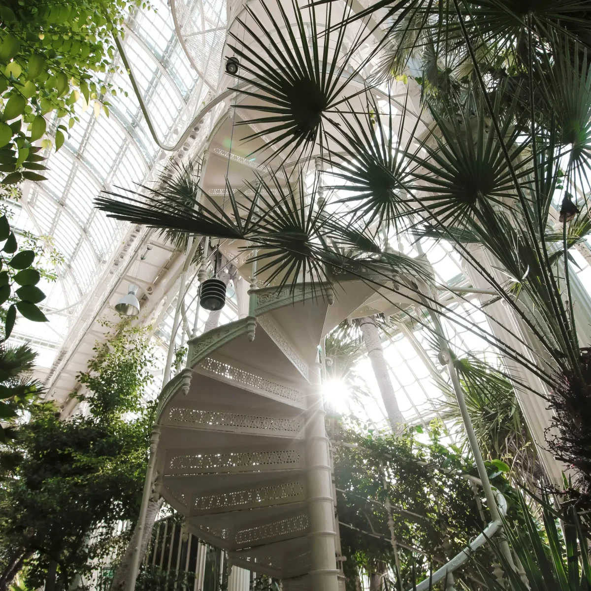 stairway-greenhouse