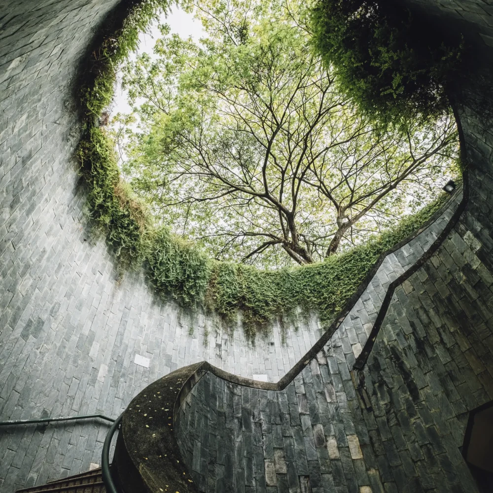 tree-fort-canning-landmark-singapore
